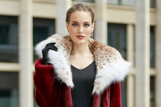 Creative: bac1d88c98db7c7ec96c5637bdb75e2c