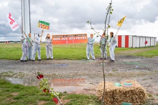 Creative: bb463d64964fb3c58d39243e837c694e