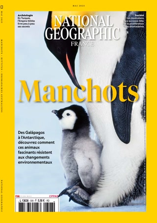 Creative: bc944ed90fe00d7202b43592dff52300