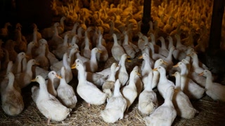 bcc5f9727e97e45f2994d5fff9cca065