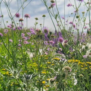 Creative: be8b758649907fc7db2827a6e987d211