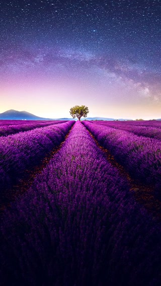 Creative: bf9b04d41e872aa29860aac416dbd36f