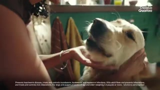 Creative: bffef27eae2be924a39e3e4333d4971a