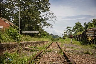 Creative: c01384ca0cd68fc2d5bef54555d12c5e