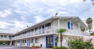 Creative: c0676416ab713df5d54741d4b11bafa8