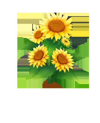 Creative: c0bb154d39b61e919228b5e236a849ff