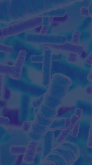 c3ecf45f5aa02b9a3f1e22c01e30178d