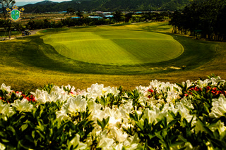 Creative: c40e04699b6680d940332132ec353209