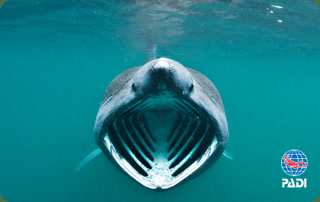 c45c09f25070dff1a1556ae45fda3986