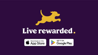 Creative: c4a9722133811a54edd1729e17c6d276