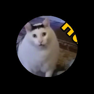 Creative: c4fb029a3c2ad0eb6b01e47711b624bd