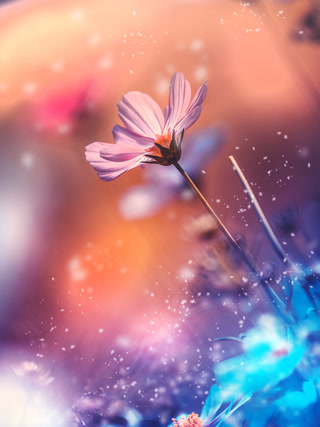 Creative: c58ae580d2ad184990fc16abe6cd7a5a