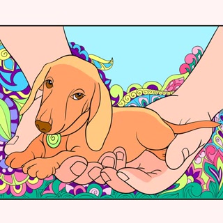 Creative: c5982d92ff105b8432bbd5bff01e12eb