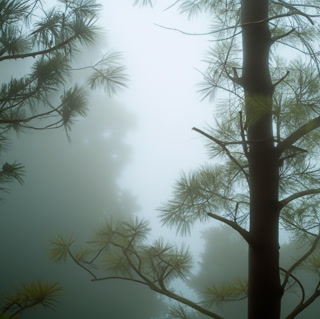 Creative: c64334b9d4da7fb64ce2d31e4e451390