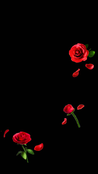 c6d03561b366eb0c223d5b41af5d34e9