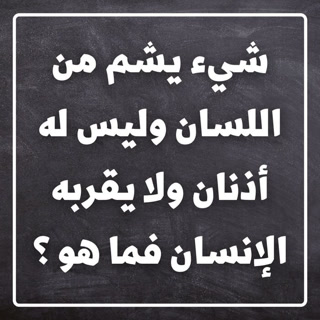 Creative: c80e196a05615217d3ef54846f0ad485