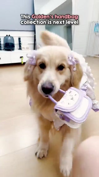 Creative: c818c47b20a43a476e22424114ce7a43