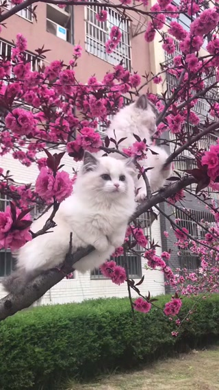 c9598c13319d19aa2dbdd384e38556d2