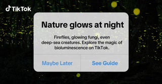 Creative thumbnail for c9a33c337156033a3b79df27f546280a