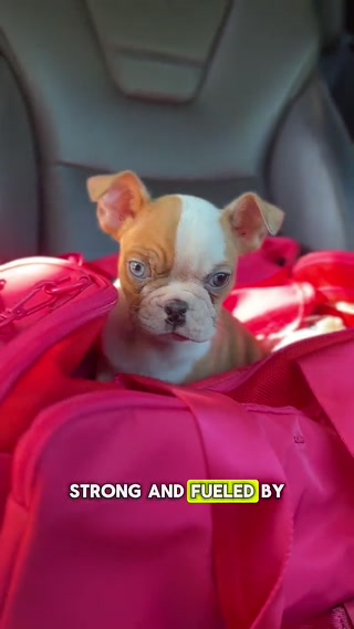 Creative: c9eefe619d3a217c5414c72fb80e9d12