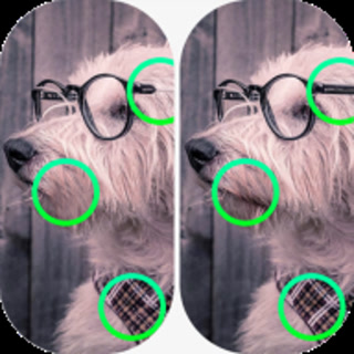 Creative: ca04f3dee72a5dc0c8fe92ca14df0501