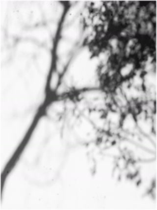 Creative: cc7fed8e96dc16ec2651b33289bc5f60