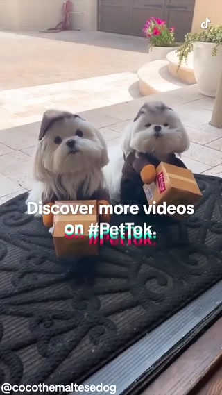 Creative: cd2caf1e1d042f15060002f204ca80d9