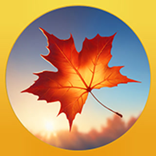 Creative: ce1cdca6da892e3c94b559af3abeb67e