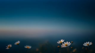 ce2077349dd5ca2e7fdd867f17d431ca