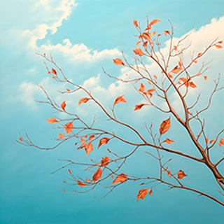 Creative: cecd30bea6467f7c4a804395e3495b0d