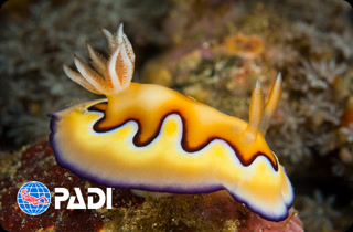 cf55667cfdd5e80c1cb3e73364628cfa