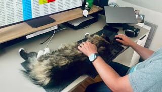 Creative: cff28e97d3ea9c51f98c94dd601e8ef3