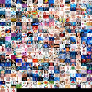 d020af695df5d799c2376a034adf9348