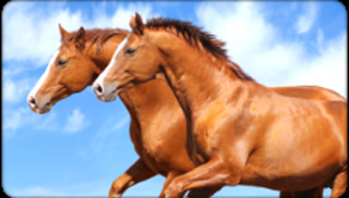 Creative: d04524785ce5dcad42191311b56ff805