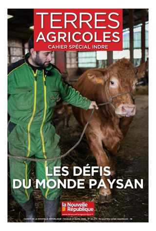 Creative: d0f7039d259e852cf9c9cdd5f63ad875