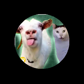 Creative: d1036b001dc5a05276d307810a99bc97