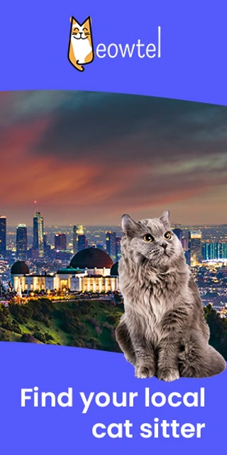 Creative: d115fe751a88ff8ec3559f3f8c064001