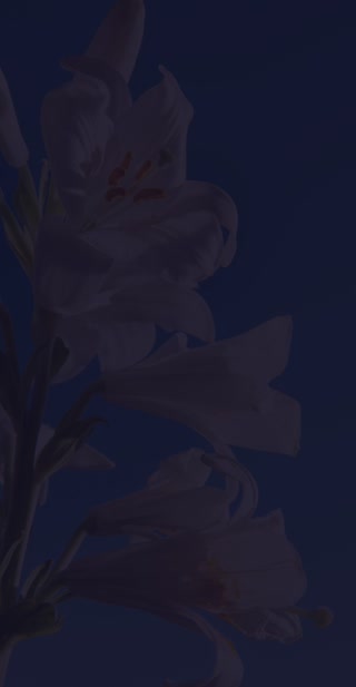 d1c7c17d517782a128d4df02375470fc