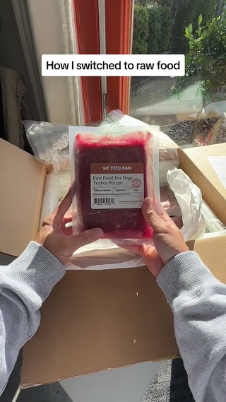 Creative: d287f5f535611c5bea69d762e62faf38