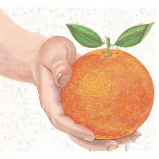 d3030cfb3c4b8f0b7ef071d84096e2eb