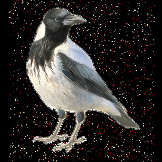 d34ee2d197ca1ce39c5030f5e40bc837