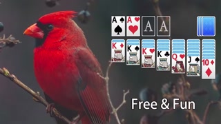 Creative: d3a095ba08bf278e8e30ef37aed8ce58