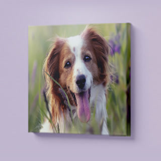 Creative: d3e56e921d3d78f1a53244492a0ab6f3