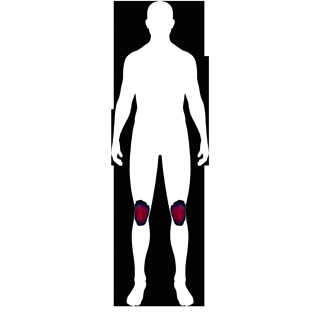 Creative: d4563b5a268923f2589e6c31d339f5aa