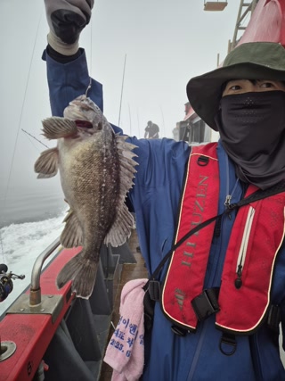 Creative: d45af8fd99823a180c8a566c5f663314