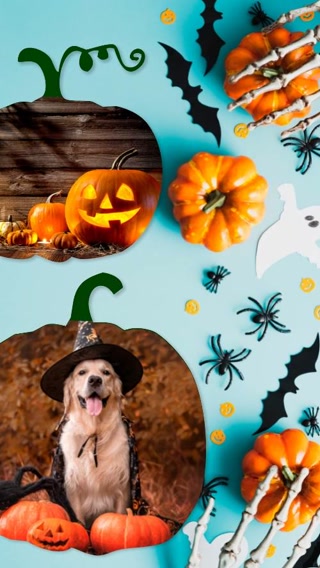 Creative: d4971cd2478ff5c2a91cf4f6d2483e73