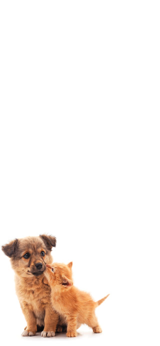 d4bf136d2728a6bee3fa2537071fe8f9