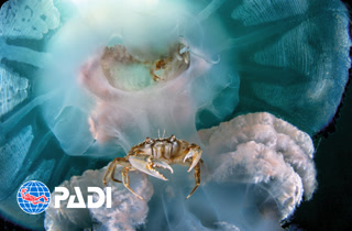 Creative: d54887d62ccd5dbca3c7ad3c7183a3a0