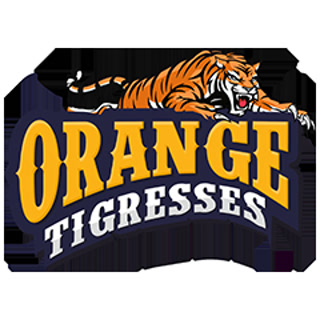 Creative: d54ef7820ca67f0dbf8777087eed4a31