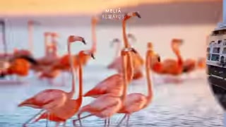 Creative: d588c9055c8102953e5e6ed92bbc9d70